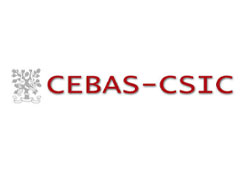 Cebas logo